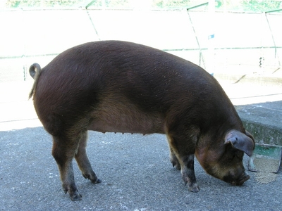 LKf0xXf5LggT7TnzlQQe.jpg?w=940&h=940