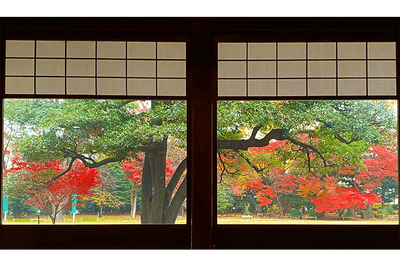 LKu3TA2nk67jgjlaHTcp.png?w=940&h=940