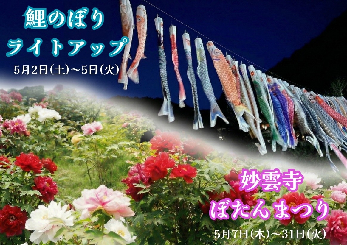 【那須塩原の初夏を満喫】空を彩る「板室温泉 鯉のぼり」と百花繚乱の「塩原温泉 ぼたんまつり」