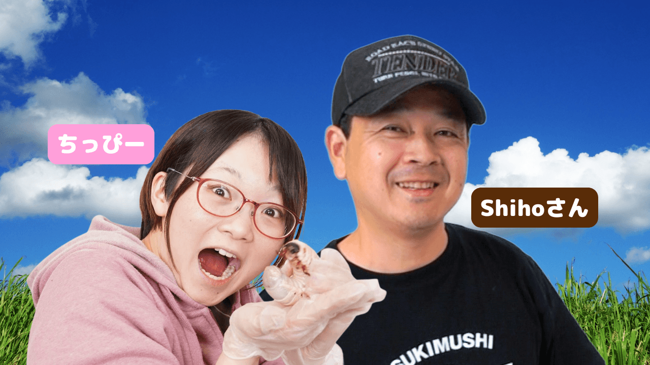 Shihoとちっぴー