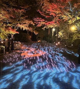 LMr5LwN1MTeoGKMDNuEj.jpg?w=940&h=940