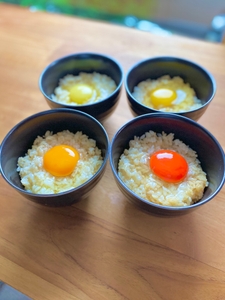 すべて本物のたまごの色です！