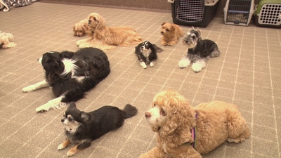 LNC6JCzd4DHYLLLW2ozN.jpg?w=940&h=940