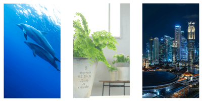 LNugYO64cD49RaiyoVtY.png?w=940&h=940