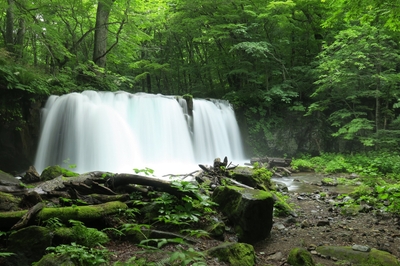 LOqOtGgXU18IjQY9CiGe.jpg?w=940&h=940