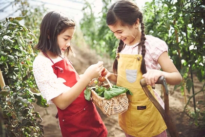 LP4zcf2EydM8tWEi2ghl.jpg?w=940&h=940