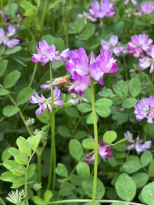 LQ4Bs7tmvZ6vw8lSsLeF.jpg?w=940&h=940