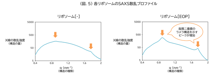 (図.5)各リポソームのSAXS散乱プロファイル