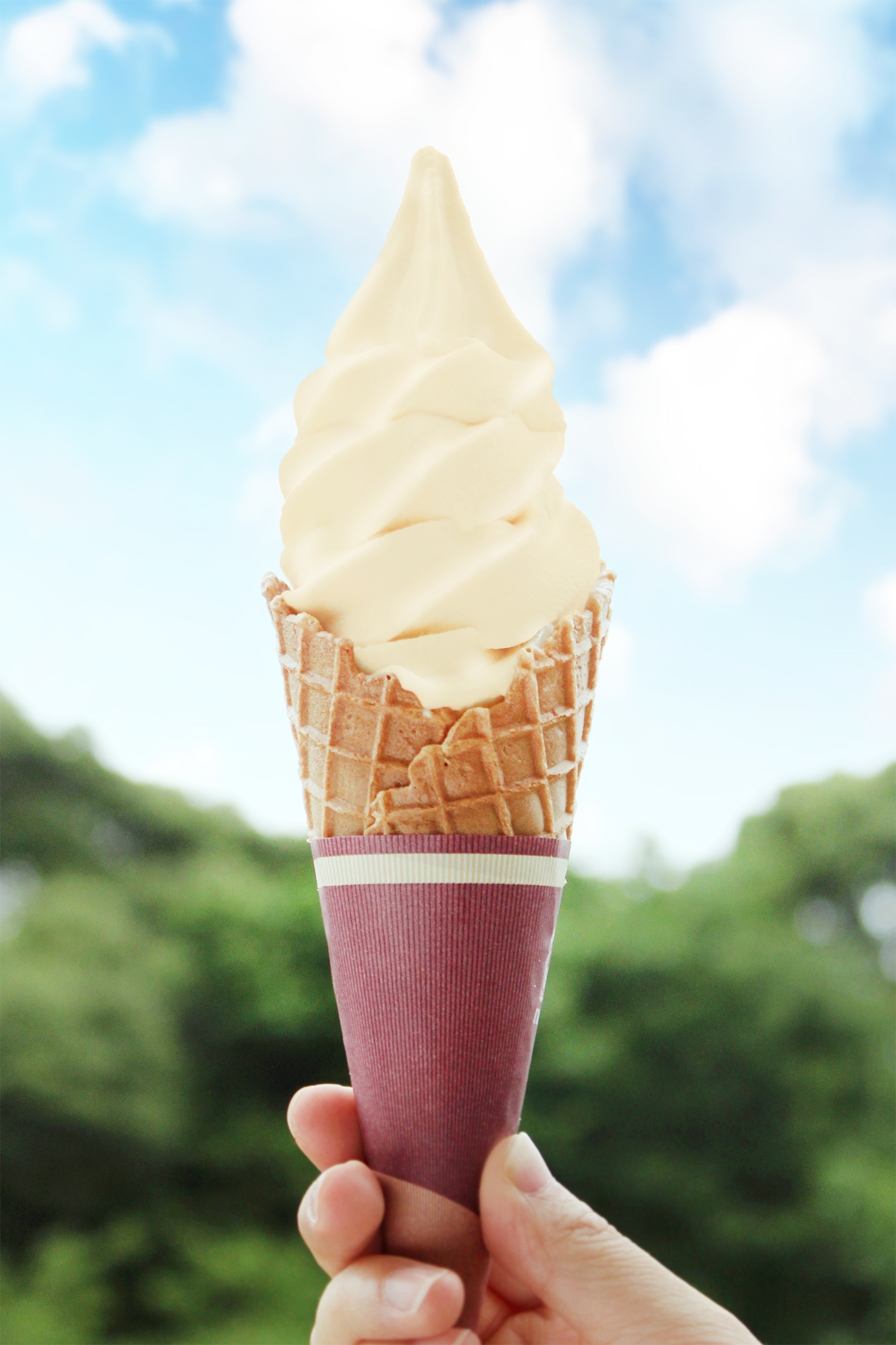 八ヶ岳とうもろこしソフトクリーム