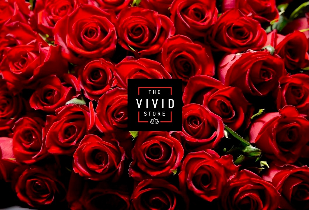 VIVID / THE STORE