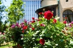 LREoHnmayau50Bx3A1iP.jpg?w=940&h=940