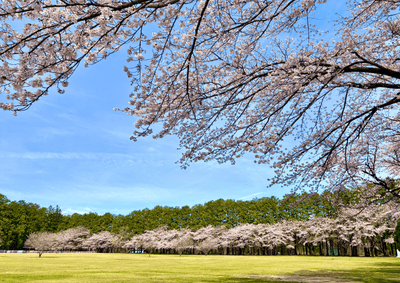 LRONlcNsBeI8f5Mptje9.png?w=940&h=940