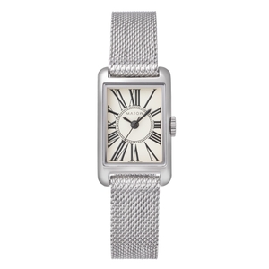 シルバーメッシュ