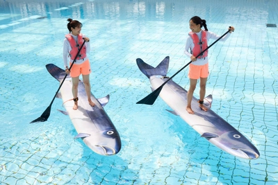 LSRlO6ySr7ArC4IgTYcO.jpg?w=940&h=940