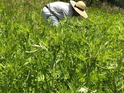 LSnrNyiO2YZasZxacEPd.jpg?w=940&h=940