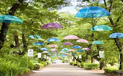 那須千本松牧場が約120本のカラフル傘で梅雨を彩る期間限定イベント 「千本松アンブレラウォーク」を初開催