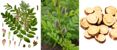 LUnpUU1nhfSk1JfRWEVy.jpeg?w=940&h=940