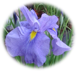 LV2IE4kkiG9MtPEpB8wQ.jpg?w=940&h=940