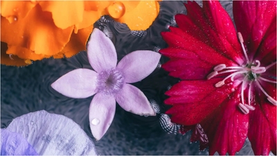 LV3pfnvzWjKJeOkoJ3m9.jpg?w=940&h=940