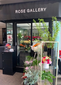 LWJOcc7xFimbqBXo4VXW.jpg?w=940&h=940