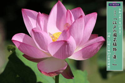 LWj8mkwG8MzWpwBHZYJe.png?w=940&h=940