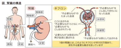 LZWjImWZyXTZDoJfIhiF.png?w=940&h=940