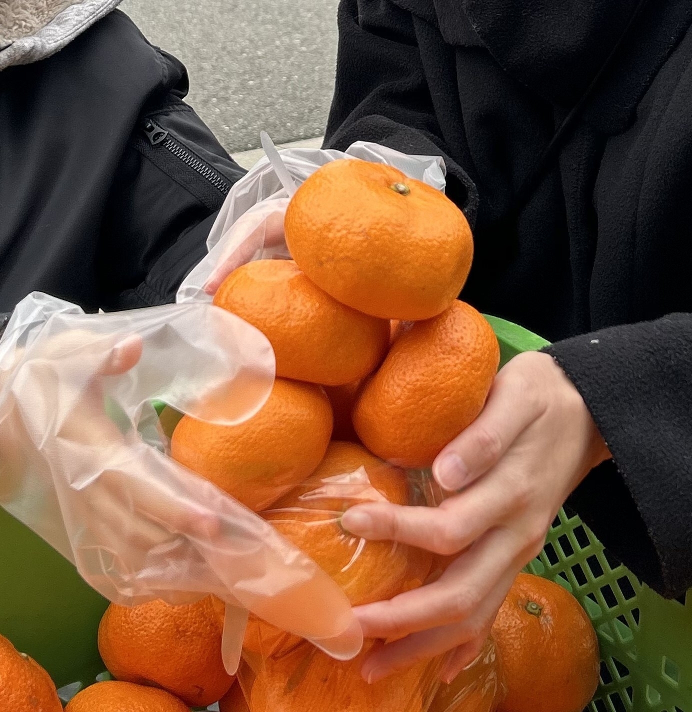 みかん詰め放題(11/2、16~計6回予定)