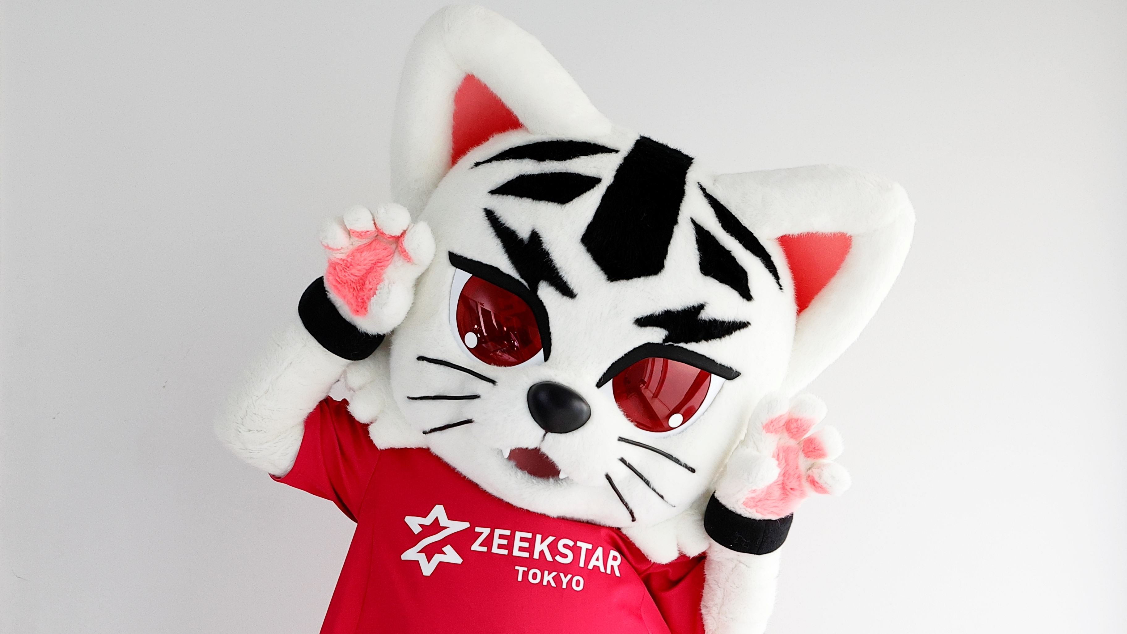 公式マスコット ジスターの背番号決定のお知らせ