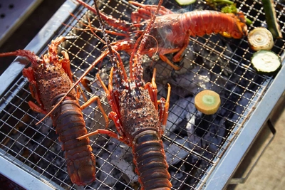 LbFnCJfRMaw7SSH7XXq2.jpg?w=940&h=940