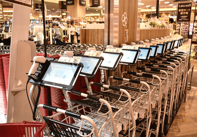 LbRoBgjTT1SVGUsG41tC.png?w=940&h=940