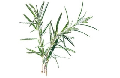 LbTTJUDXua3l0CPpwHSp.jpg?w=940&h=940