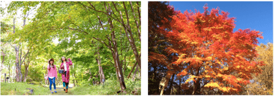 LbnqK4ubK2wzdJfbJRA8.png?w=940&h=940