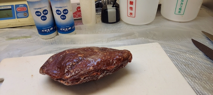 新鮮な地元産の鹿肉