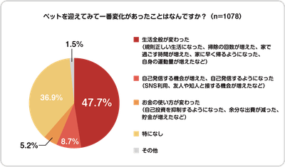 LcWVy5L6dz9eL12FhHYi.png?w=940&h=940