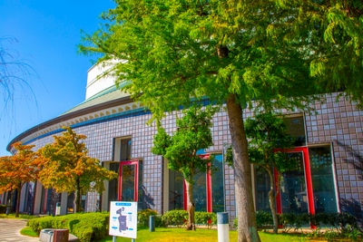 LcdTx1hI4sx47JQZ56F7.jpeg?w=940&h=940