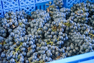 LcyeYj6YlkRcZyjXo8H6.jpg?w=940&h=940