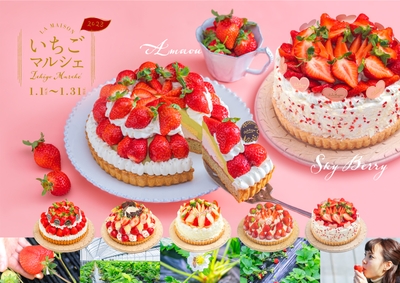 LebuCE5Sp6jxEnX7qlI8.jpg?w=940&h=940