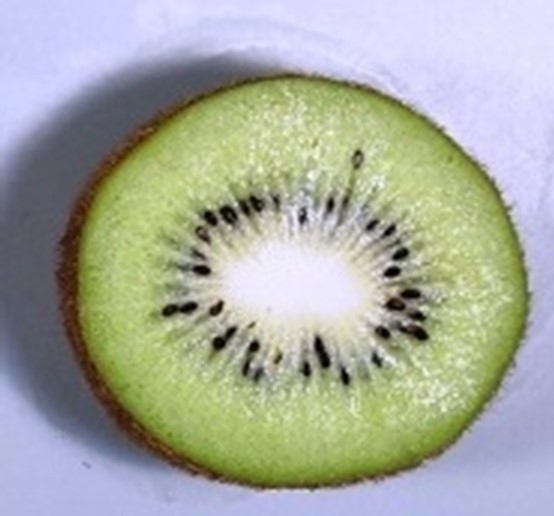 図3 A:全体に受粉すると種子は全体に分布し、果実は均一に肥大した。