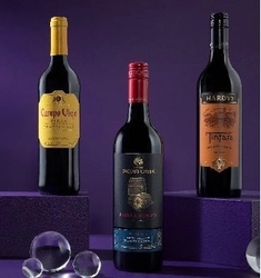 グローバル・ワインカンパニーVINARCHY新設　 2025年7月8日より東京都渋谷区道玄坂に拠点を構え、 日本展開を本格始動