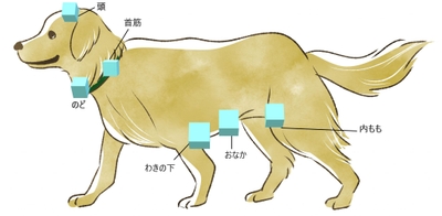 LifO3J8hLNlQ7ioVpxhx.jpg?w=940&h=940