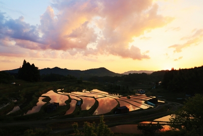 LjOYZzuKxXWY2lpCK9bk.jpeg?w=940&h=940