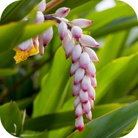 Ll1UCT9jfYVyOu6d7KIa.jpg?w=940&h=940