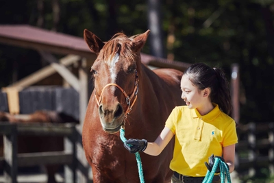 Ll5Ab8FqNLLSEDEJgdIG.jpg?w=940&h=940