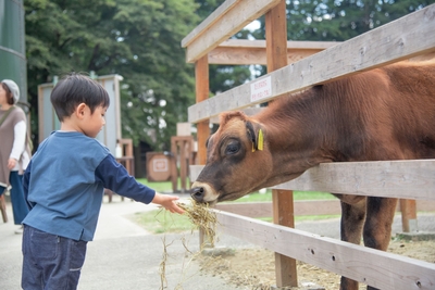 Llk3YCTY2Bkl38ysrFlL.jpg?w=940&h=940