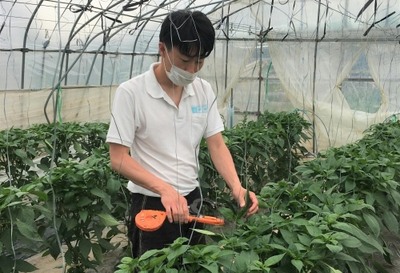 Lm0TnrD6qLQyarMRtPST.jpg?w=940&h=940