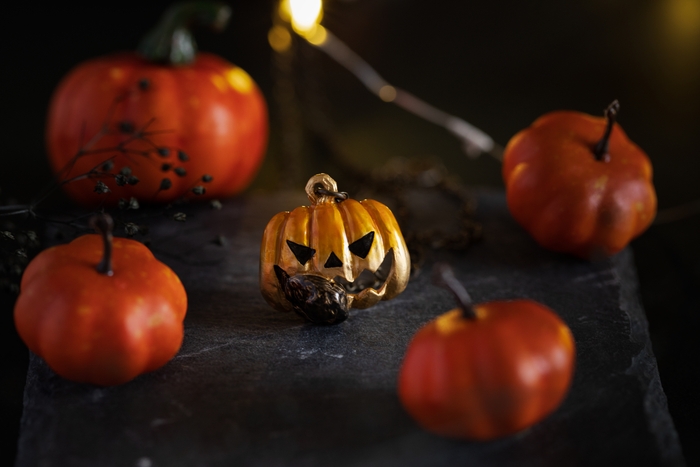 <限定>魔界の入り口ネックレス 3,740円