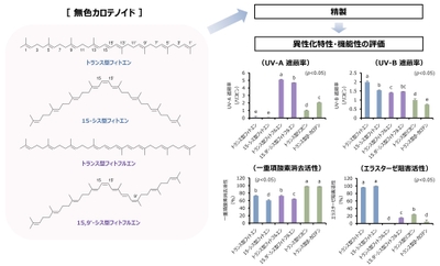 図１：フィトエンならびにフィトフルエン異性体の化学構造と機能性