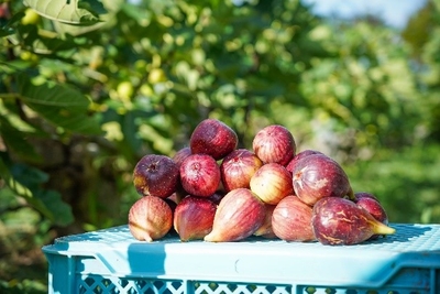 LnLHkenLUUmqyxtPlDQF.jpg?w=940&h=940