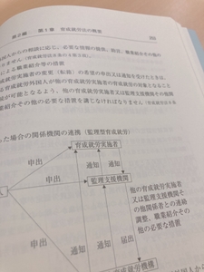 LnTrPgdasy7XPh2NYIod.JPG?w=940&h=940