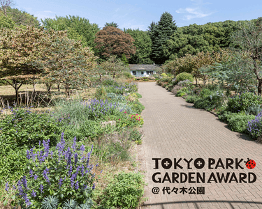 Lnfsa1Xw1qLxmZLR2Wog.png?w=940&h=940